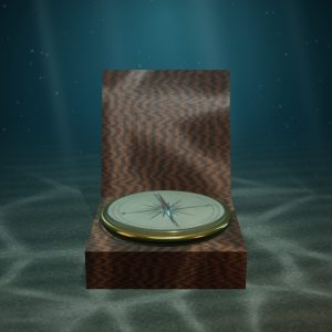 Brass Ship’s Compass in a Wooden Box — photographed on the sea floor
