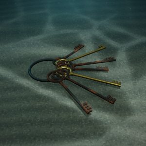 Seven Skeleton Keys from a Bridgeport Warehouse — photographed on the sea floor