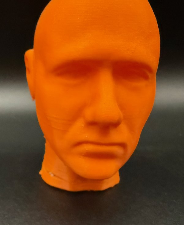 Lot 172 — Orange Printed Head - Image 2