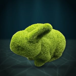 Moss Bunny