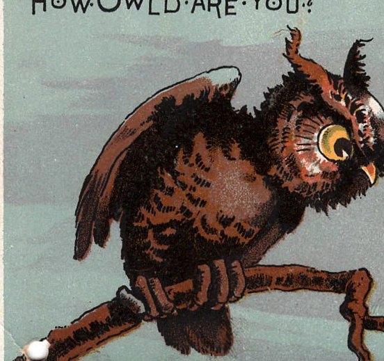 Lot 181 — Owl Trade Card, “How Owl’d Are You?” - Image 3