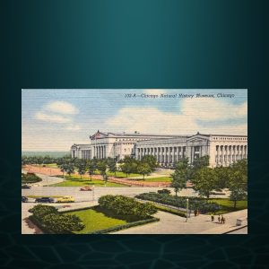Chicago Natural History Museum Postcard