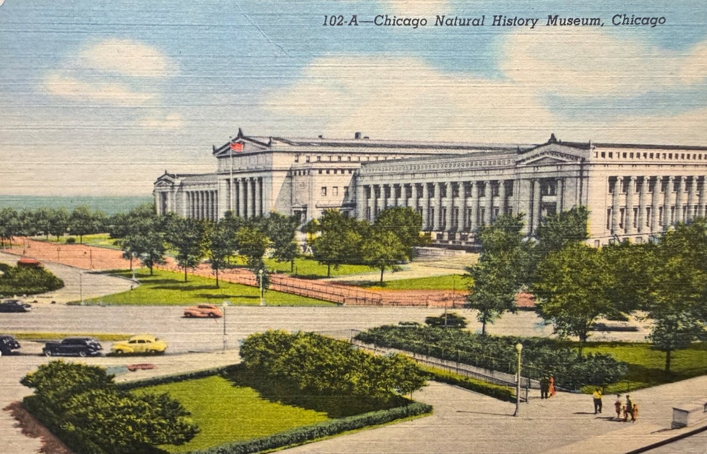 Chicago Natural History Museum Postcard