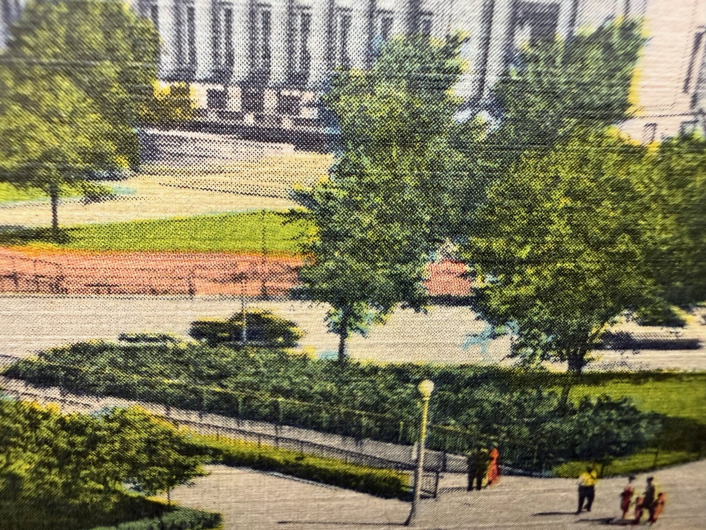Chicago Natural History Museum Postcard